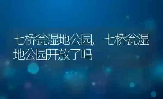 七桥瓮湿地公园,七桥瓮湿地公园开放了吗 | 养殖科普