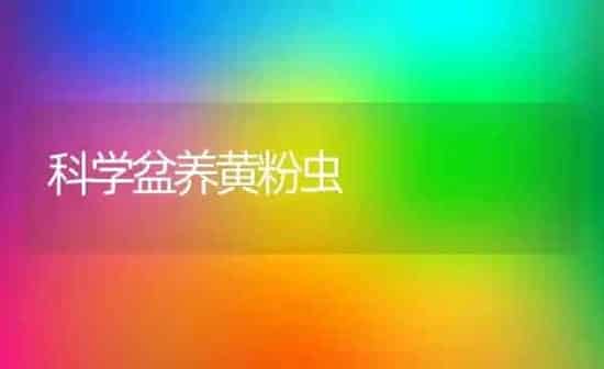 科学盆养黄粉虫 | 养殖技术大全