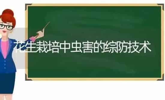 花生栽培中虫害的综防技术 | 养殖知识
