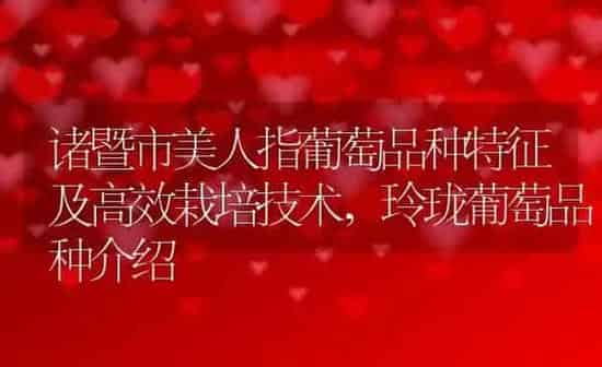 诸暨市美人指葡萄品种特征及高效栽培技术,玲珑葡萄品种介绍 | 养殖学堂