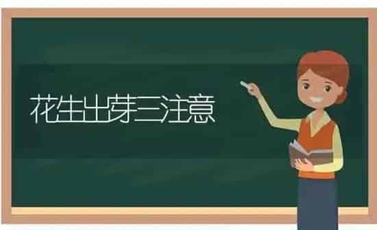 花生出芽三注意 | 养殖技术大全