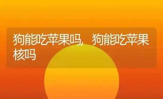 狗能吃苹果吗,狗能吃苹果核吗 | 养殖科普