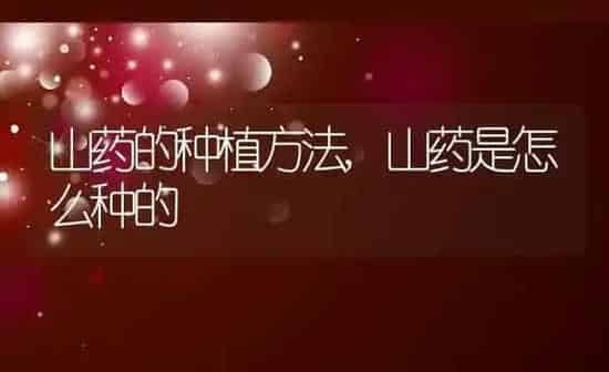山药的种植方法,山药是怎么种的 | 养殖学堂