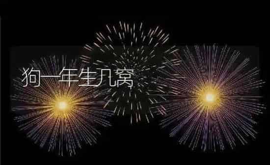狗一年生几窝 | 养殖科普
