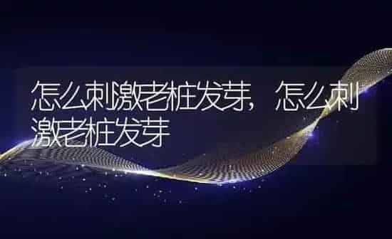 狗狗尿频一会一尿,狗狗尿频一会一尿吃什么药 | 养殖科普