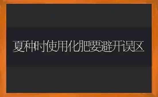 夏种时使用化肥要避开误区 | 养殖知识