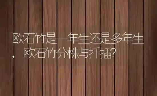 欧石竹是一年生还是多年生,欧石竹分株与扦插？ | 养殖科普