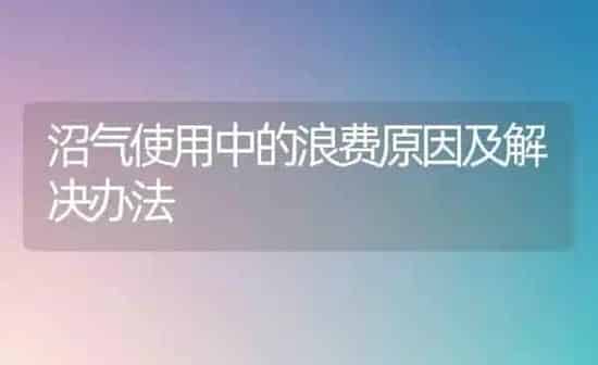沼气使用中的浪费原因及解决办法 | 养殖知识