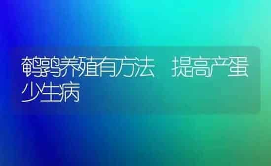 鹌鹑养殖有方法 提高产蛋少生病 | 养殖技术大全