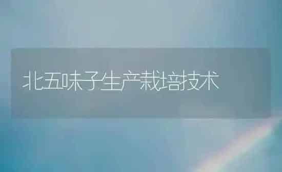 北五味子生产栽培技术 | 养殖知识