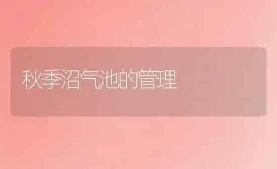 秋季沼气池的管理 | 养殖知识