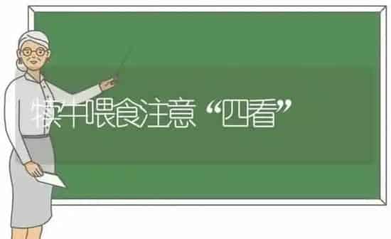 犊牛喂食注意“四看” | 养殖知识