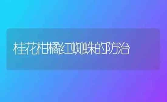 桂花柑橘红蜘蛛的防治 | 养殖知识