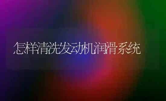 怎样清洗发动机润滑系统 | 养殖知识