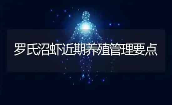 罗氏沼虾近期养殖管理要点 | 养殖知识