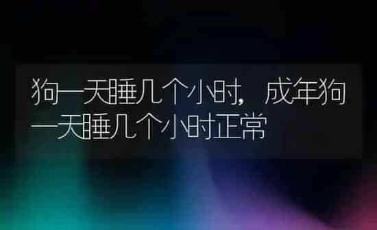 狗一天睡几个小时,成年狗一天睡几个小时正常 | 养殖科普
