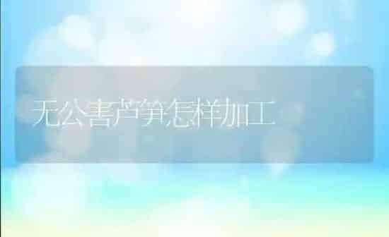 无公害芦笋怎样加工 | 养殖知识