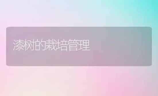 漆树的栽培管理 | 养殖知识