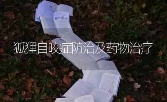 狐狸自咬症防治及药物治疗 | 养殖知识
