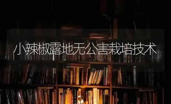 小辣椒露地无公害栽培技术 | 养殖知识