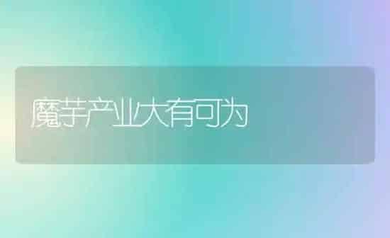 魔芋产业大有可为 | 养殖技术大全
