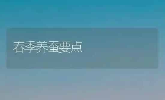 春季养蚕要点 | 养殖知识