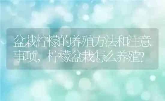 鸡肠子怎么做好吃,鸡肠子怎么做好吃又简单 | 养殖科普