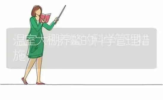 温室大棚养鳖的科学管理措施 | 养殖知识