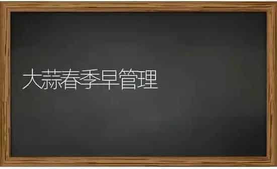 大蒜春季早管理 | 养殖知识