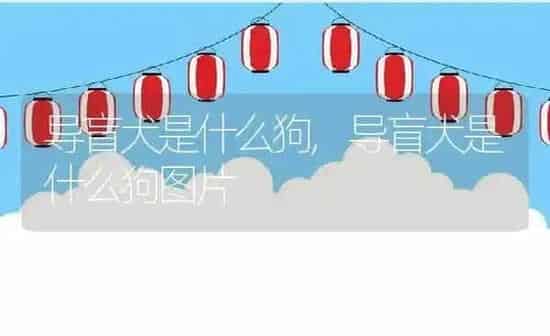 导盲犬是什么狗,导盲犬是什么狗图片 | 养殖科普