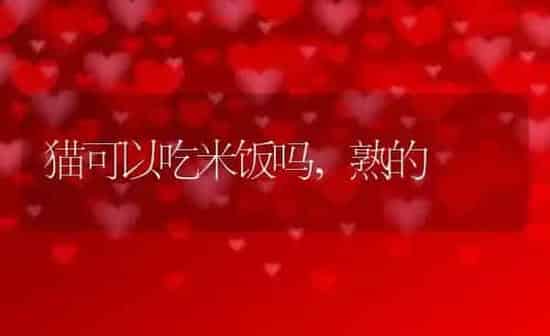猫可以吃米饭吗,熟的 | 养殖资料