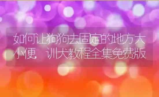 如何让狗狗去固定的地方大小便,训犬教程全集免费版 | 养殖科普