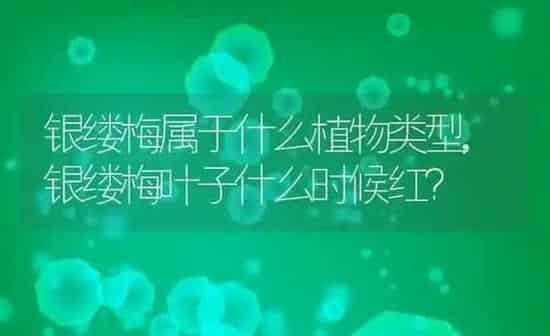 狗狗犬瘟症状,狗狗犬瘟症状前兆 | 养殖科普