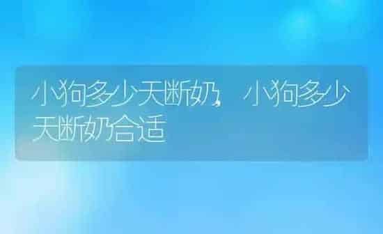小狗多少天断奶,小狗多少天断奶合适 | 养殖科普