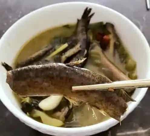 泥鳅汤怎么做最补 泥鳅汤烹饪方法 | 三农知识