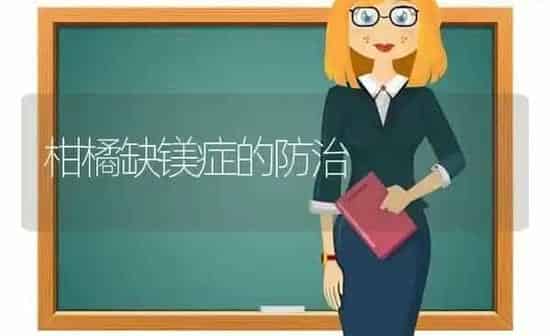 柑橘缺镁症的防治 | 养殖知识