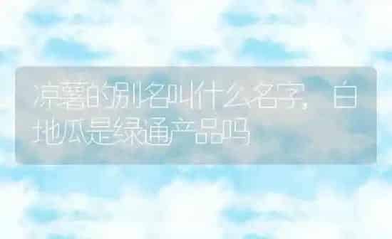 凉薯的别名叫什么名字,白地瓜是绿通产品吗 | 养殖学堂