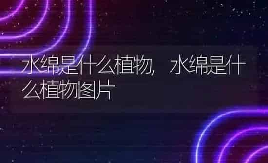 水绵是什么植物,水绵是什么植物图片 | 养殖资料