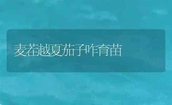如何选购联合收割机 | 养殖知识