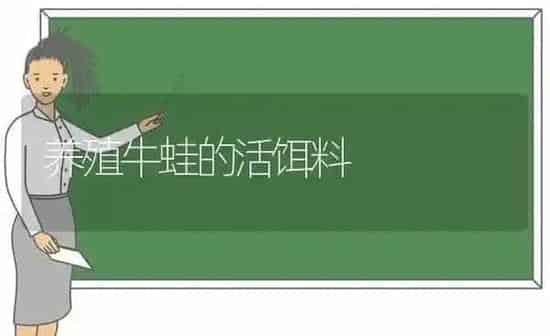 养殖牛蛙的活饵料 | 养殖知识