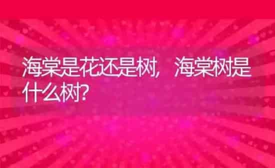 狗能不能吃鸡蛋,狗能不能吃鸡蛋白 | 养殖科普