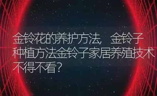 金铃花的养护方法,金铃子种植方法金铃子家居养殖技术不得不看？ | 养殖科普