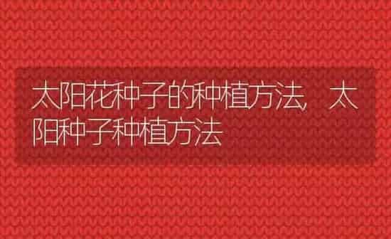 太阳花种子的种植方法,太阳种子种植方法 | 养殖学堂