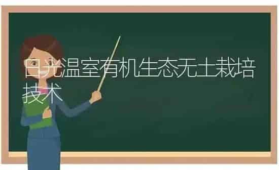 日光温室有机生态无土栽培技术 | 养殖知识