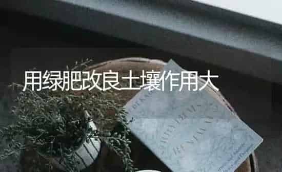 用绿肥改良土壤作用大 | 养殖知识