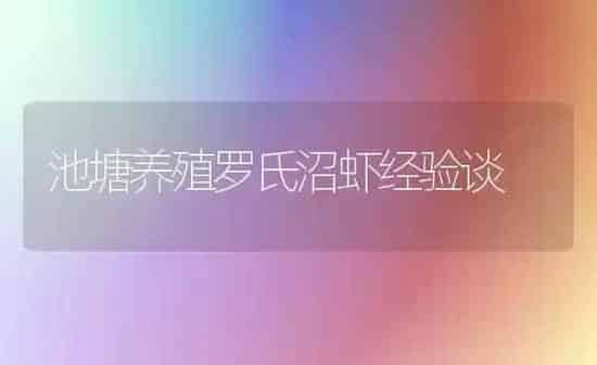 池塘养殖罗氏沼虾经验谈 | 养殖知识