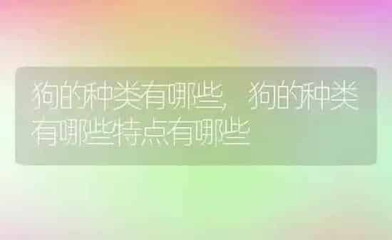 狗的种类有哪些,狗的种类有哪些特点有哪些 | 养殖资料