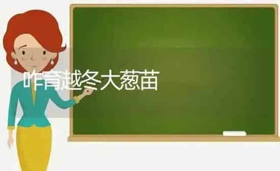 咋育越冬大葱苗 | 养殖知识