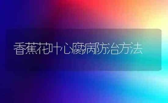 香蕉花叶心腐病防治方法 | 养殖知识