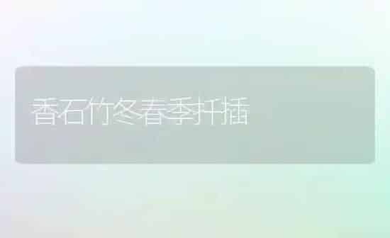 香石竹冬春季扦插 | 养殖技术大全